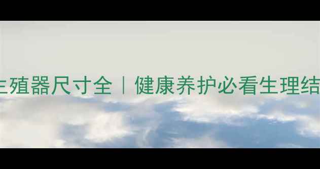 图片 泰迪犬生殖器尺寸全｜健康养护必看生理结构指南1