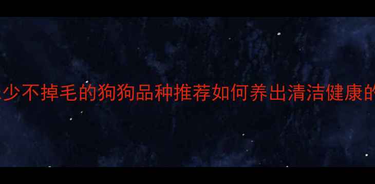 图片 10种体味少不掉毛的狗狗品种推荐如何养出清洁健康的宠物犬1