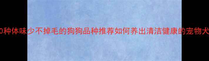 图片 10种体味少不掉毛的狗狗品种推荐如何养出清洁健康的宠物犬2
