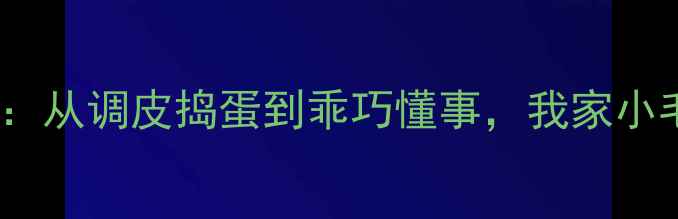 图片 120天养泰迪全记录：从调皮捣蛋到乖巧懂事，我家小毛球教会我的成长课