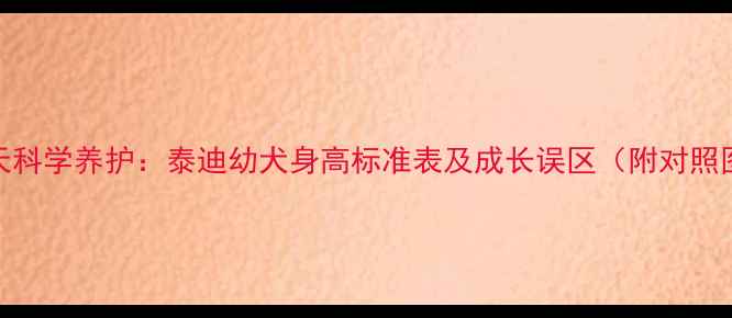 图片 120天科学养护：泰迪幼犬身高标准表及成长误区（附对照图）1
