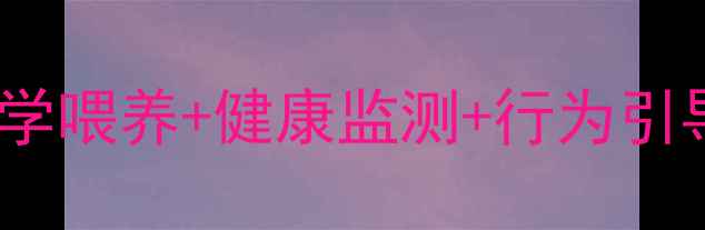 图片 15天大幼犬全攻略：科学喂养+健康监测+行为引导指南（附护理误区）1