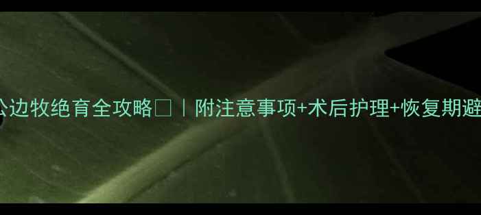 图片 16个月公边牧绝育全攻略🐾｜附注意事项+术后护理+恢复期避坑指南1