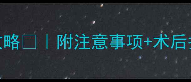 图片 16个月公边牧绝育全攻略🐾｜附注意事项+术后护理+恢复期避坑指南2