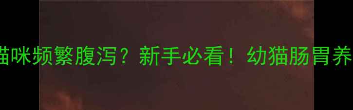 图片 1个月大猫咪频繁腹泻？新手必看！幼猫肠胃养护全攻略
