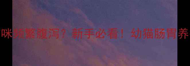 图片 1个月大猫咪频繁腹泻？新手必看！幼猫肠胃养护全攻略2