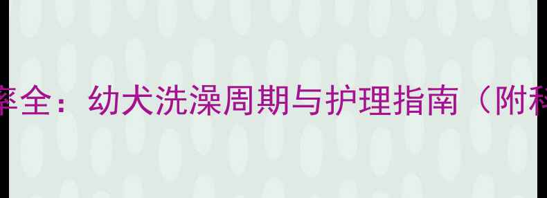 图片 1岁狗狗洗澡频率全：幼犬洗澡周期与护理指南（附科学洗护步骤）2