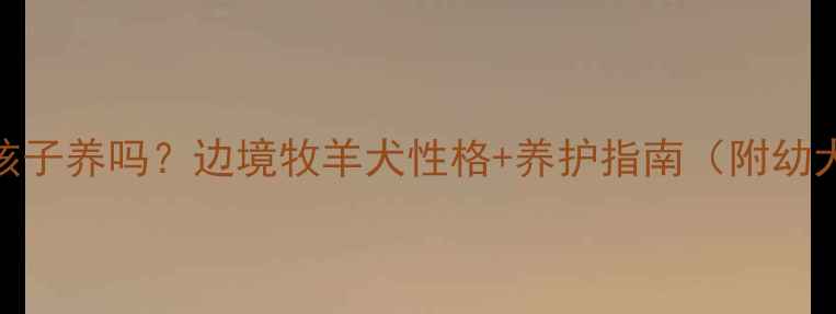 图片 1️⃣边牧适合孩子养吗？边境牧羊犬性格+养护指南（附幼犬选购全攻略）1