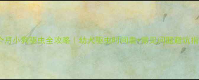 图片 2-3个月小狗驱虫全攻略｜幼犬驱虫时间表+常见问题避坑指南🐾