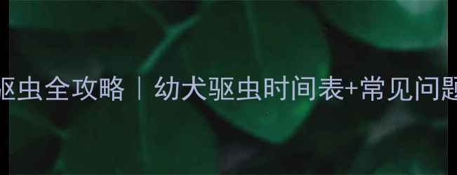 图片 2-3个月小狗驱虫全攻略｜幼犬驱虫时间表+常见问题避坑指南🐾1