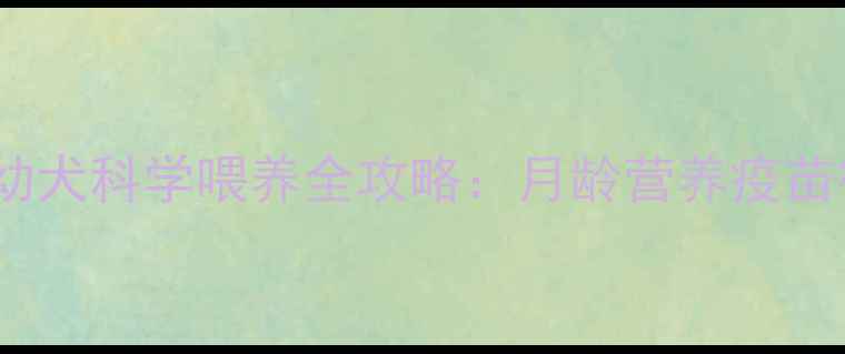 图片 2-3月龄泰迪幼犬科学喂养全攻略：月龄营养疫苗行为训练要点