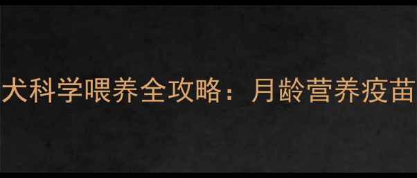 图片 2-3月龄泰迪幼犬科学喂养全攻略：月龄营养疫苗行为训练要点2