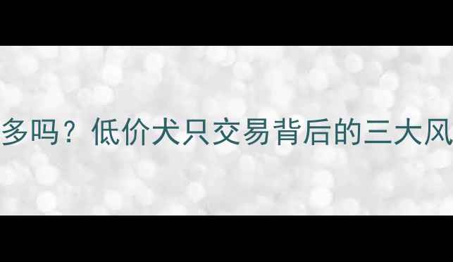 图片 200元能买到拉布拉多吗？低价犬只交易背后的三大风险与科学养宠指南1
