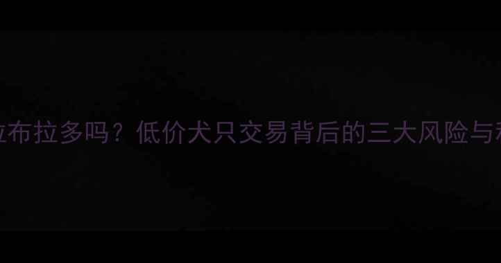 图片 200元能买到拉布拉多吗？低价犬只交易背后的三大风险与科学养宠指南2