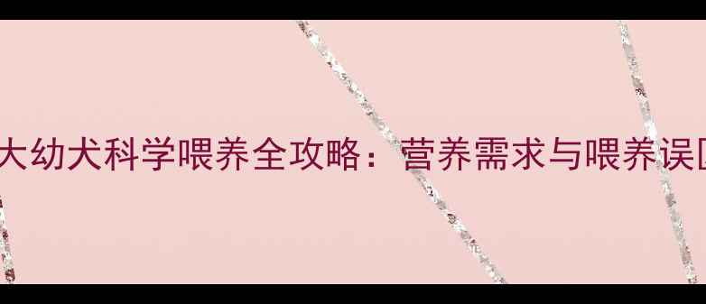 图片 2个月大幼犬科学喂养全攻略：营养需求与喂养误区深度