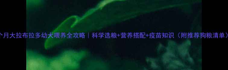 图片 2个月大拉布拉多幼犬喂养全攻略｜科学选粮+营养搭配+疫苗知识（附推荐狗粮清单）1