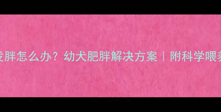 图片 2个月大狗狗发胖怎么办？幼犬肥胖解决方案｜附科学喂养表+运动计划