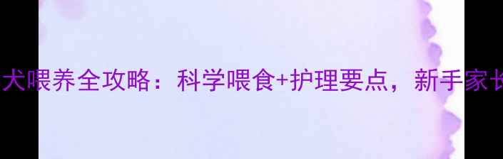 图片 2个月幼犬喂养全攻略：科学喂食+护理要点，新手家长必看！