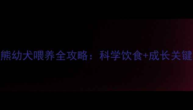图片 2个月比熊幼犬喂养全攻略：科学饮食+成长关键期指南2