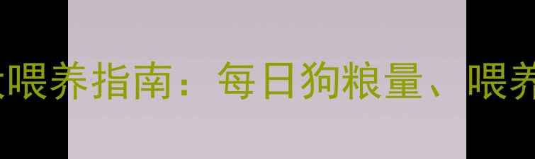 图片 2个月泰迪幼犬喂养指南：每日狗粮量、喂养频次及营养全