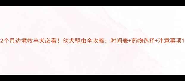图片 2个月边境牧羊犬必看！幼犬驱虫全攻略：时间表+药物选择+注意事项1