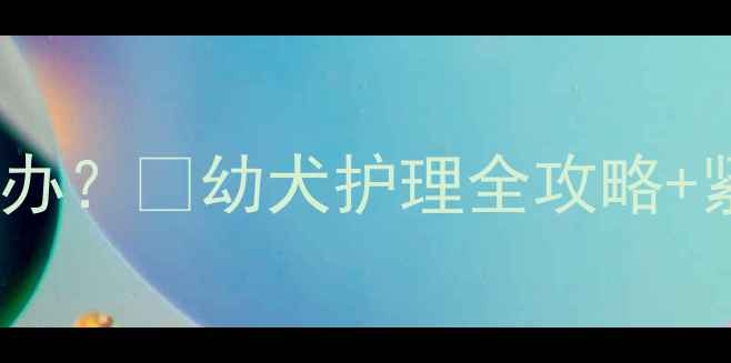 图片 2月龄博美幼犬呼吸急促怎么办？🐾幼犬护理全攻略+紧急处理指南（附真实案例）