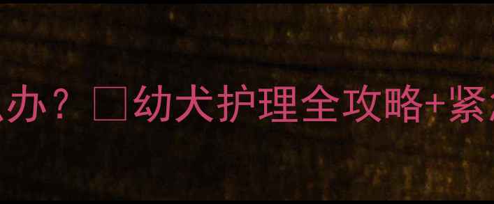 图片 2月龄博美幼犬呼吸急促怎么办？🐾幼犬护理全攻略+紧急处理指南（附真实案例）2