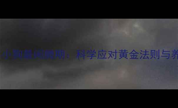 图片 3-6个月小狗最闹腾期：科学应对黄金法则与养护指南