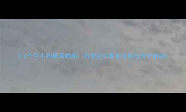 图片 3-6个月小狗最闹腾期：科学应对黄金法则与养护指南2