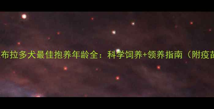 图片 3-6个月黄金期拉布拉多犬最佳抱养年龄全：科学饲养+领养指南（附疫苗性格培养技巧）