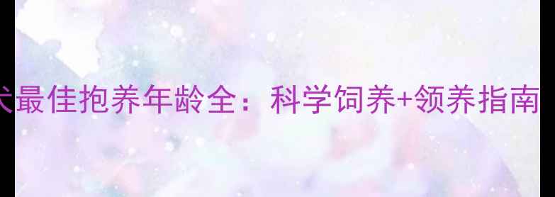图片 3-6个月黄金期拉布拉多犬最佳抱养年龄全：科学饲养+领养指南（附疫苗性格培养技巧）2