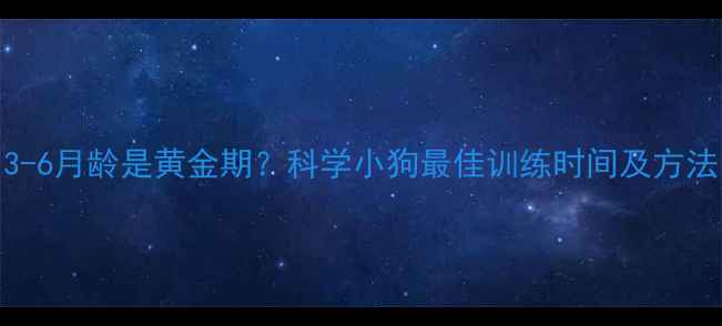 图片 3-6月龄是黄金期？科学小狗最佳训练时间及方法
