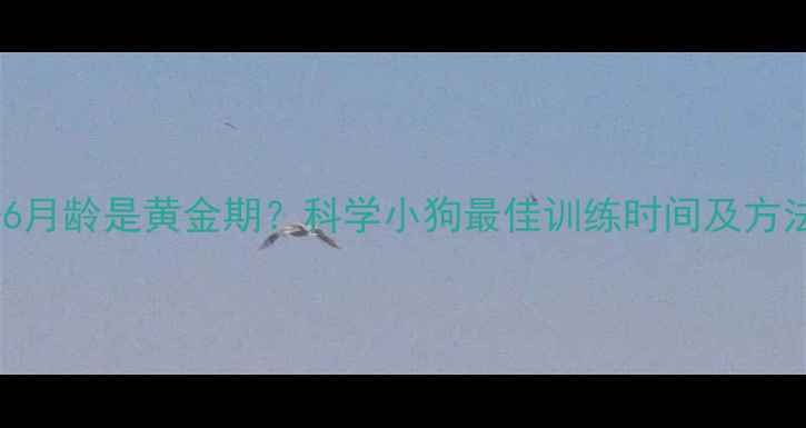 图片 3-6月龄是黄金期？科学小狗最佳训练时间及方法1