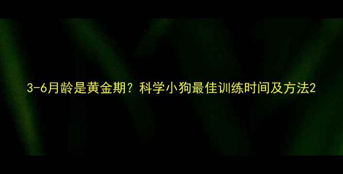 图片 3-6月龄是黄金期？科学小狗最佳训练时间及方法2