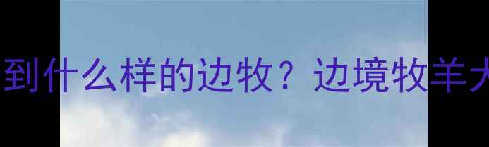 图片 3000元预算能买到什么样的边牧？边境牧羊犬品质与饲养全2