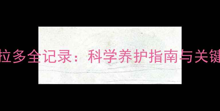 图片 35天拉布拉多全记录：科学养护指南与关键注意事项