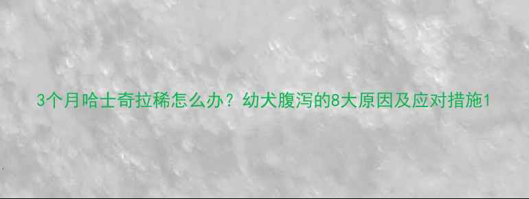 图片 3个月哈士奇拉稀怎么办？幼犬腹泻的8大原因及应对措施1