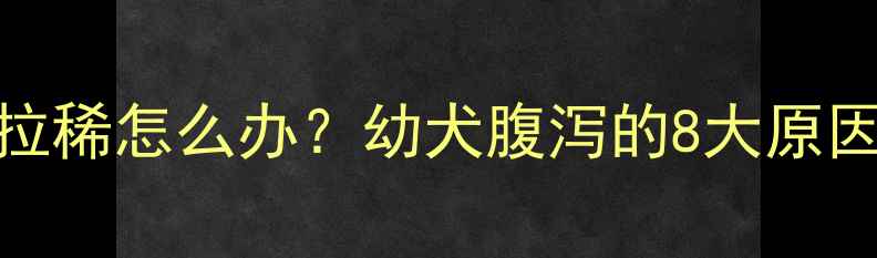 图片 3个月哈士奇拉稀怎么办？幼犬腹泻的8大原因及应对措施2