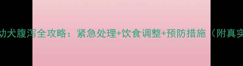 图片 3个月大幼犬腹泻全攻略：紧急处理+饮食调整+预防措施（附真实案例）2