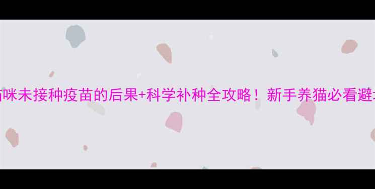 图片 3个月大猫咪未接种疫苗的后果+科学补种全攻略！新手养猫必看避坑指南🐾1