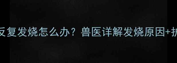 图片 3个月小猫反复发烧怎么办？兽医详解发烧原因+护理全攻略1