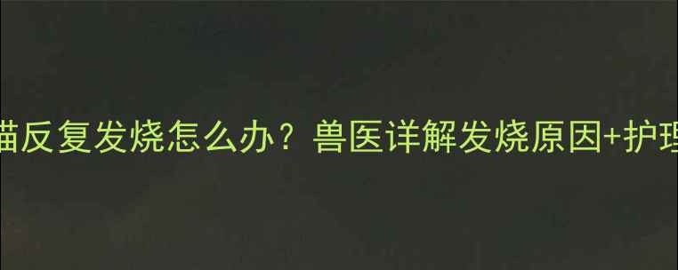 图片 3个月小猫反复发烧怎么办？兽医详解发烧原因+护理全攻略2