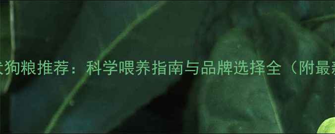 图片 3个月比熊幼犬狗粮推荐：科学喂养指南与品牌选择全（附最新选购攻略）2