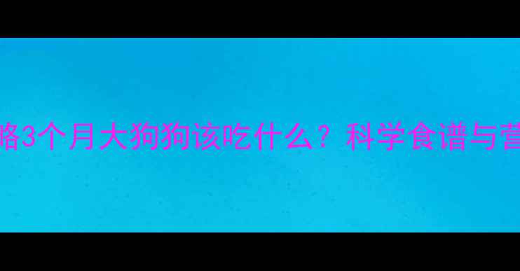 图片 3月龄幼犬喂养全攻略3个月大狗狗该吃什么？科学食谱与营养指南（附食谱）2