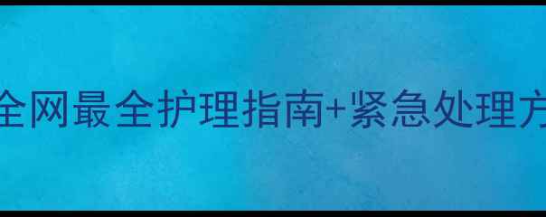 图片 3月龄幼犬腹泻别慌！全网最全护理指南+紧急处理方案，养宠小白必看🐾2