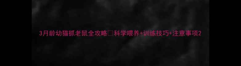 图片 3月龄幼猫抓老鼠全攻略🐾科学喂养+训练技巧+注意事项2