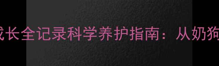 图片 3月龄拉布拉多幼犬成长全记录科学养护指南：从奶狗到小壮汉的蜕变之路