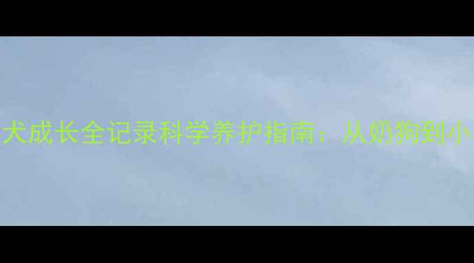 图片 3月龄拉布拉多幼犬成长全记录科学养护指南：从奶狗到小壮汉的蜕变之路2