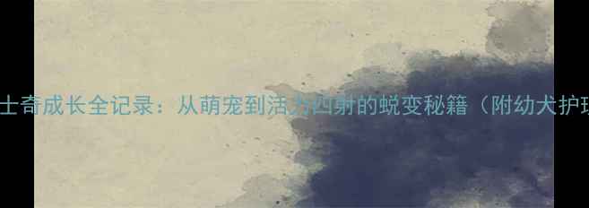 图片 4个月哈士奇成长全记录：从萌宠到活力四射的蜕变秘籍（附幼犬护理干货）