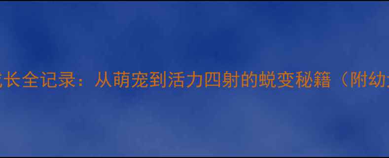图片 4个月哈士奇成长全记录：从萌宠到活力四射的蜕变秘籍（附幼犬护理干货）2